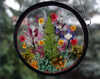 Suncatcher, marco de flores prensadas, marco de flores secas flores prensadas flores reales collar flores prensadas marco hogar botánico