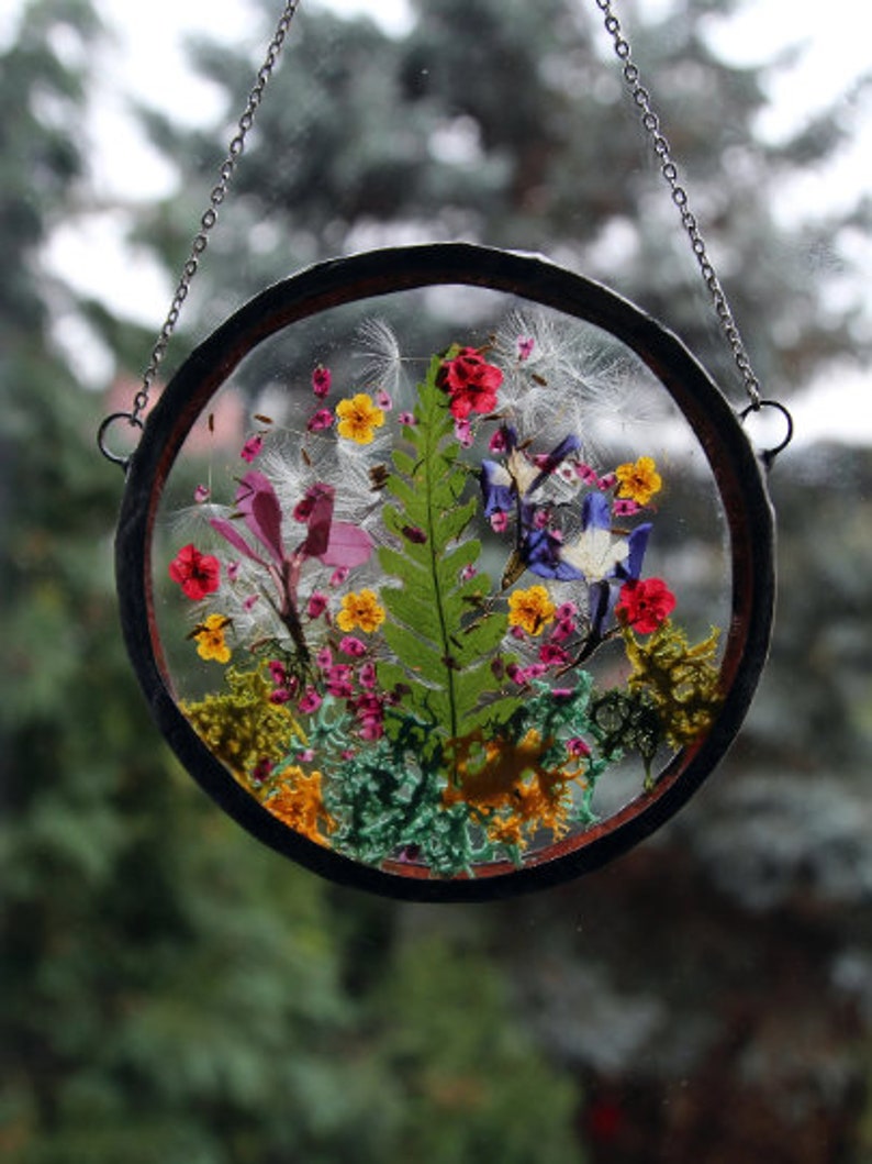 Suncatcher, Pressed Flower Frame, Dried Flowers frame Pressed Flowers real Flowers Necklace Pressed Flowers Frame Botanical home image 1