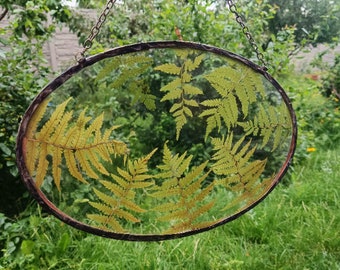 Large Pressed dried flowers art, Stained glass, Sun catcher, Botanical frame, Oval frame, Ellipse glass, Wall decor