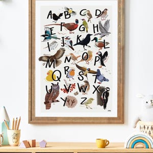 Poster ABC per la cameretta dei bambini | Uccelli nativi | Autodipinto | manifesto didattico | decorazione murale