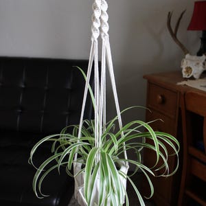 Handmade Macrame Plant Hangers