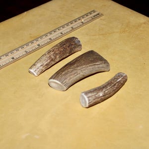 Antler Dog Chew - Small (2-3&quot;)