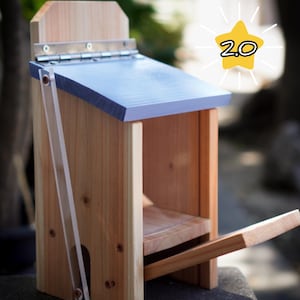 Squirrel Peanut Feeder 2.0: Cedar Lever-Operated, Weatherproof