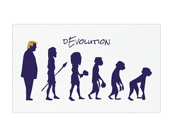Anti Trump Car Magnet | Political Satire Magnet