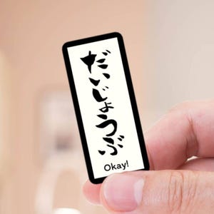 Pegatina de hiragana japonesa Frase en japonés Está bien en japonés Regalo divertido para principiantes que aprenden japonés Pegatina para maleta y portátil