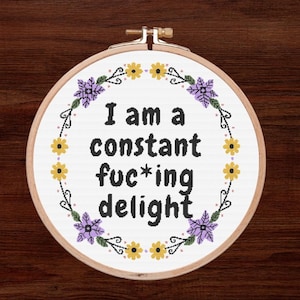 I'm A Constant, Cross Stitch Adult, Cross stitch pattern, Modern cross stitch, subversiv embroidery, funny cross stitch