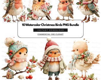 10 Watercolor Christmas Birds PNG Bundle - Instant Download | Commercial Use