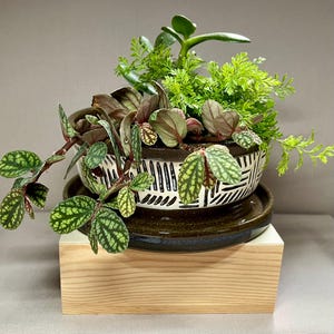Handmade Ceramic Planter with Drainage Tray | Modern Black & White Stoneware Plant Pot | Geometric Indoor Succulent and Houseplant