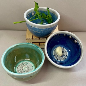 Mini Garlic Mincer and Herb Stripper Bowl - Ginger Root Grater - Handmade Pottery