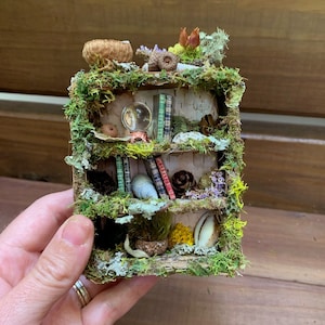 Fairy House Bookshelf: Miniature Woodland Furniture