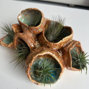 May include: A ceramic planter with multiple compartments, each with a small air plant. The planter is glazed in a brown and green color scheme, with a textured surface.
