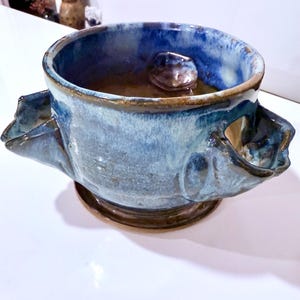 Fun planter for indoor plants.