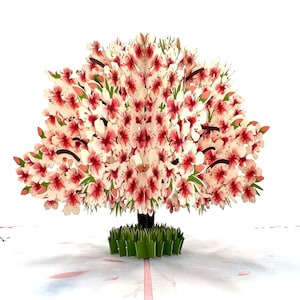 Pop Up Greeting Card Cherry Blossom Birthday Thank You Card Spring Card Nature Card Tree Card 3D Pop Up Blooms Nature Flower Card For Mom