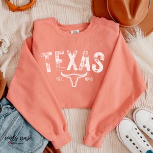 Texas Sweatshirt, Texas crewneck, Texas  embroidery, Texas  gift, Texas state crew; Gift for Her; Comfort Colors, Longhorn gift