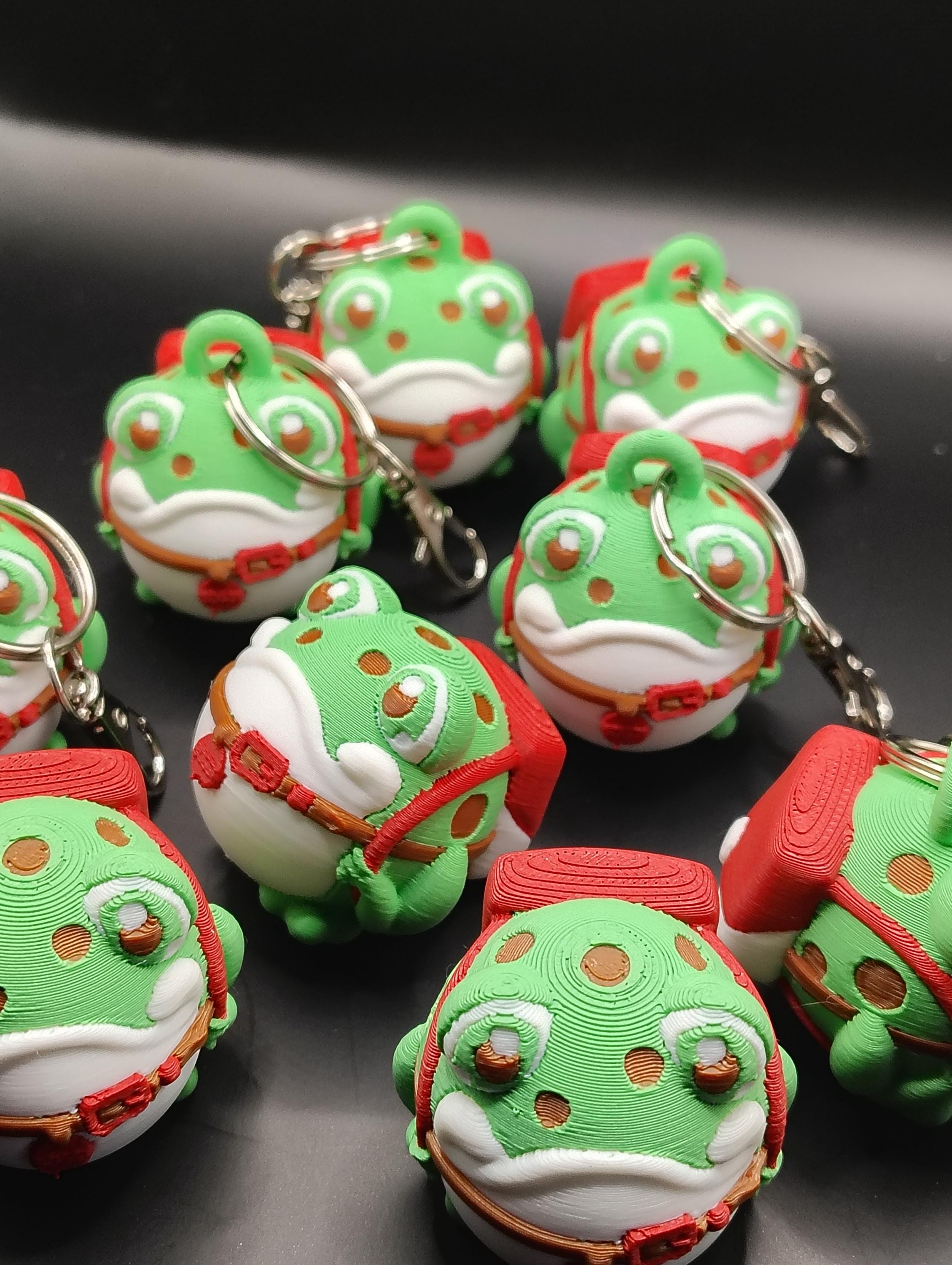 Boggy the Froggy 3D Model & Keychain - Etsy