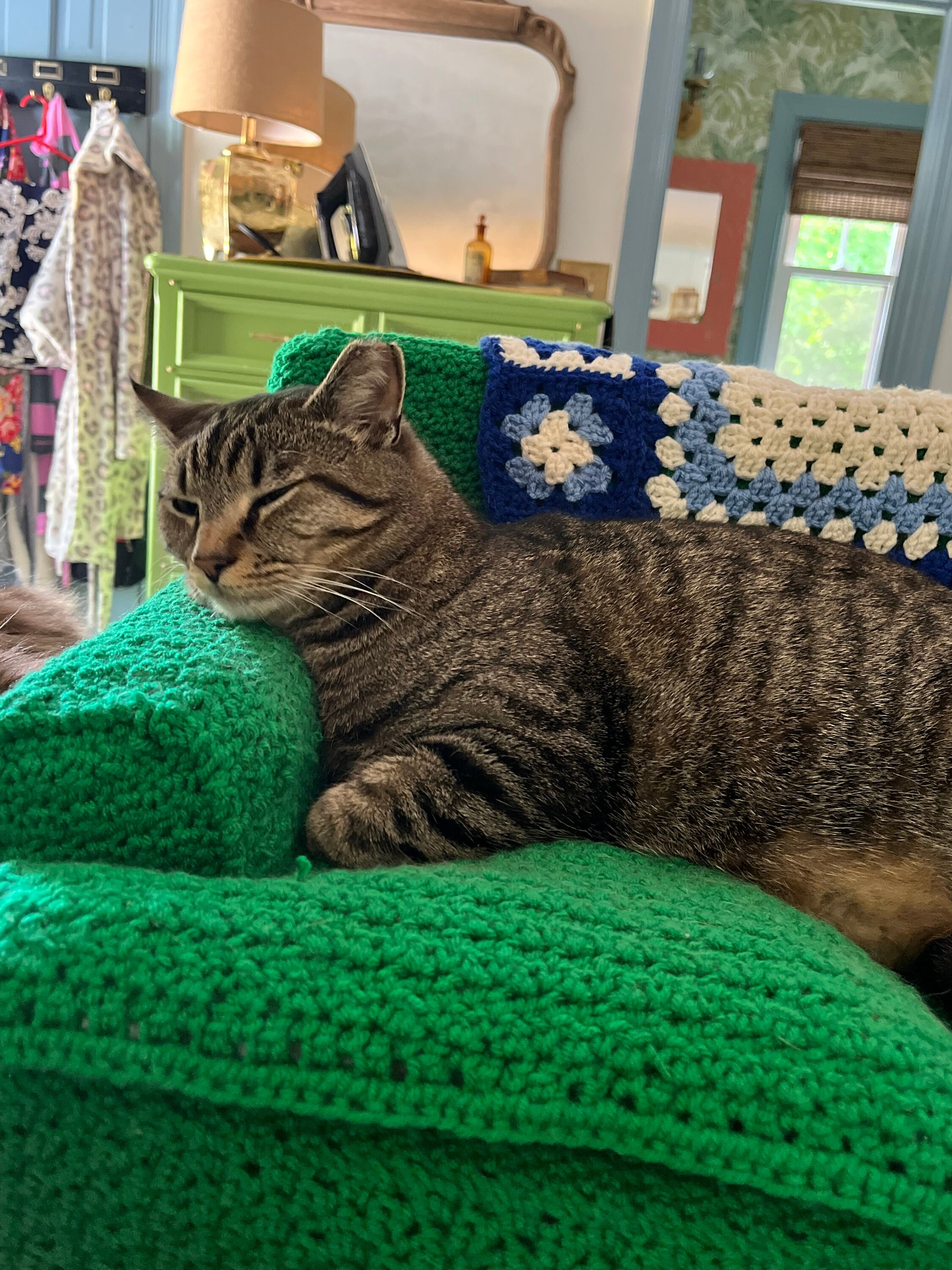 Custom Made Cat or Small Dog Couch Sofa Bed Afghan and Pillow Etsy