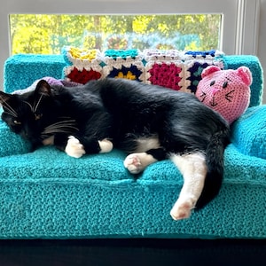 Custom Made Cat or Small Dog Couch Sofa Bed Afghan and Pillow