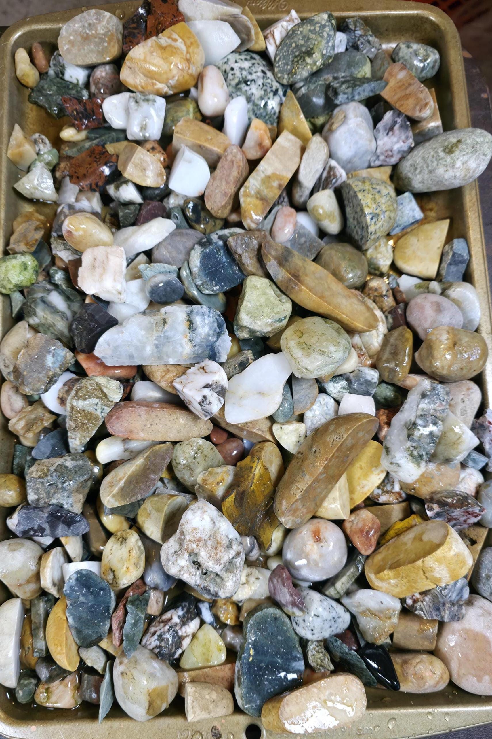 Pnw Rocks Raw Tumbler Rocks: 12oz Bundle - Raw Pacific Northwest PNW Stones - Etsy