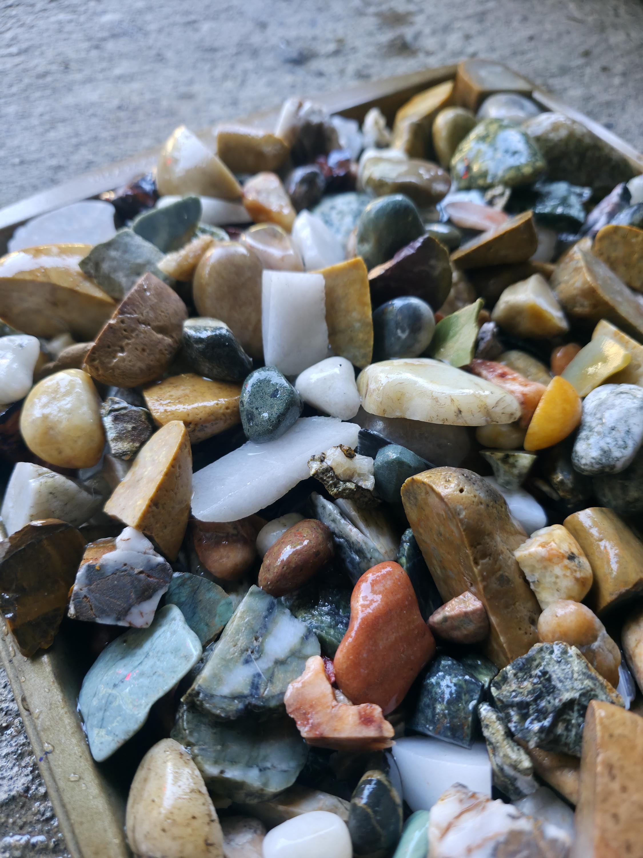 Pnw Rocks Raw Tumbler Rocks: 12oz Bundle - Raw Pacific Northwest PNW Stones - Etsy