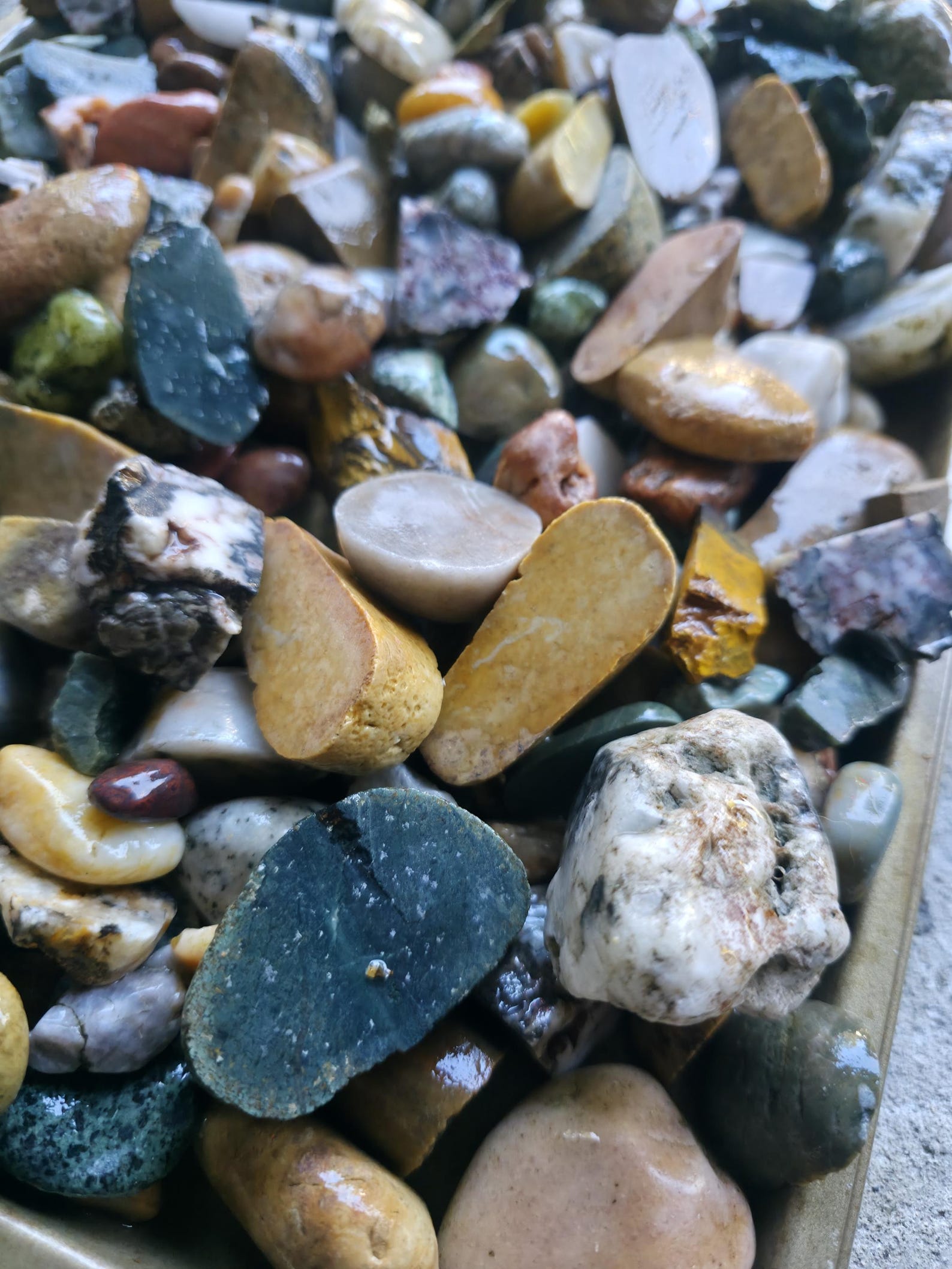 Pnw Rocks Raw Tumbler Rocks: 12oz Bundle - Raw Pacific Northwest PNW Stones - Etsy
