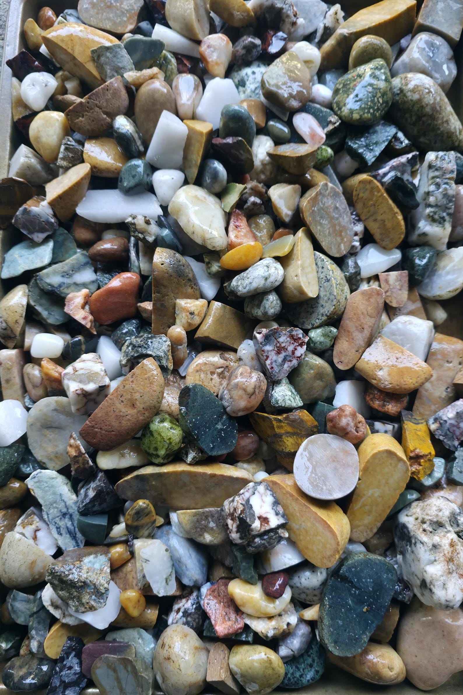 Pnw Rocks Raw Tumbler Rocks: 12oz Bundle - Raw Pacific Northwest PNW Stones - Etsy