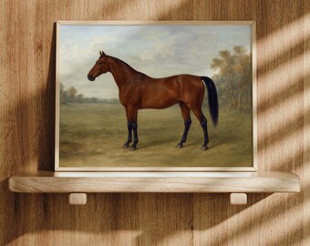 Framed Vintage Horse Portrait: Equestrian Wall Art, Oak Frame