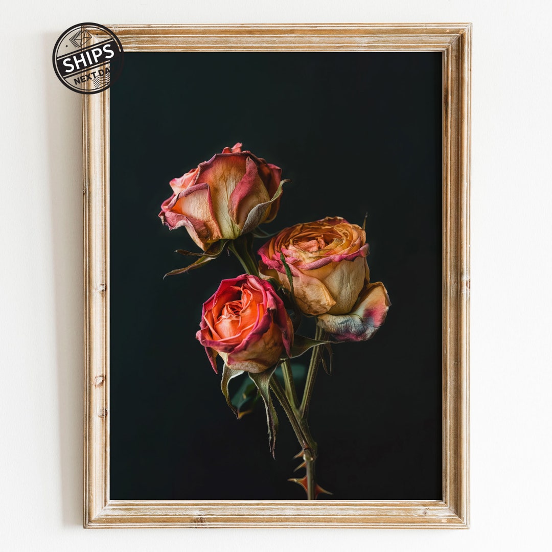 Vintage Coral Rose Print: Moody Floral Still Life, Botanical Wall Art ...