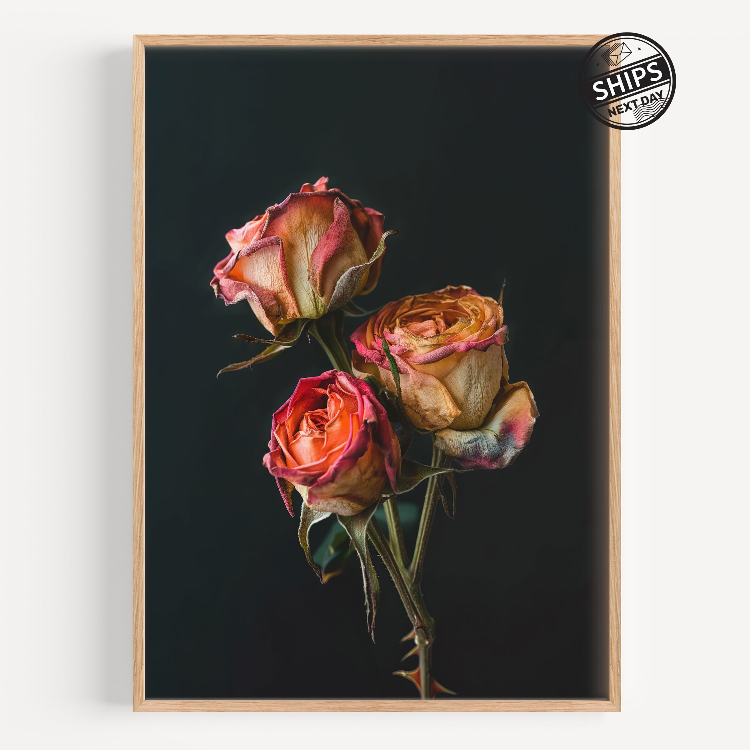 Vintage Coral Rose Print: Moody Floral Still Life, Botanical Wall Art ...