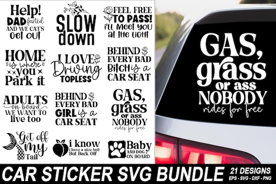 Is Taking Kitten on Car Trips Bad? Shocking Truth Revealed!