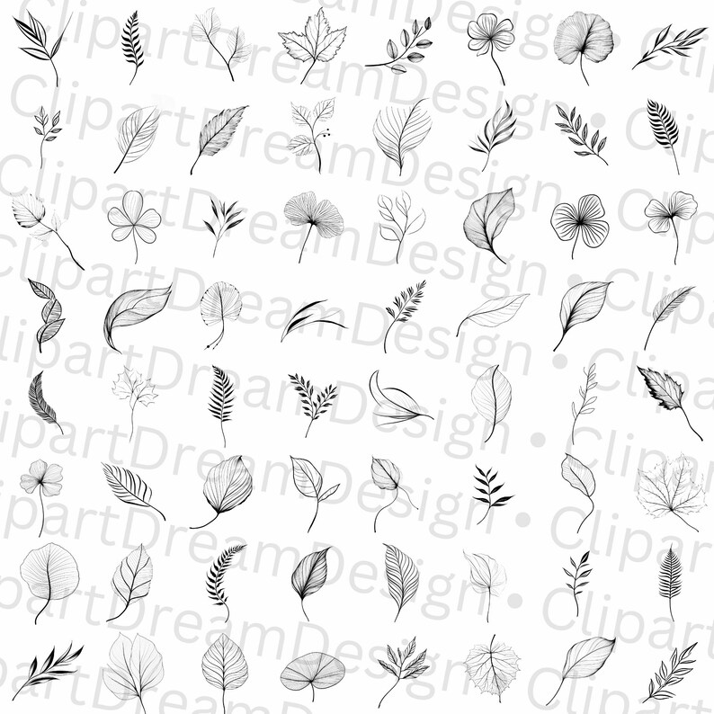 770 Botanical Leaves Clipart Bundle PNG SVG Floral Plant Flower Clip