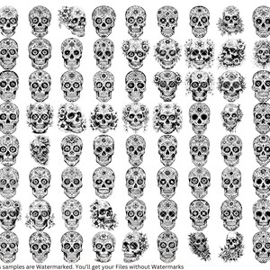 May include: A collection of 64 black and white sugar skull illustrations. Each skull is decorated with intricate floral patterns.