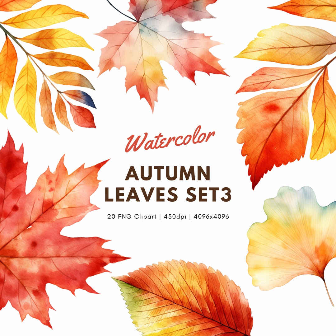 Watercolor Autumn Leaves Set3 Clipart Autumn Clipart - Etsy