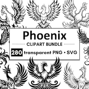 280 Phoenix-afbeeldingen | PNG + SVG transparante achtergrond | Commercieel gebruik | hoge kwaliteit | vectorbestanden | Feniks silhouet