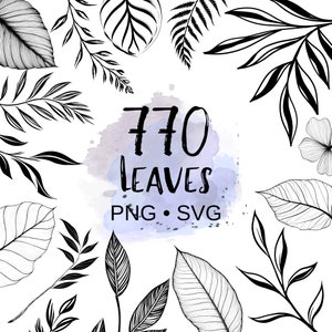 770 種類の植物の葉のクリップアート バンドル | PNG + SVG | 花の植物の花のクリップアート | 商用利用