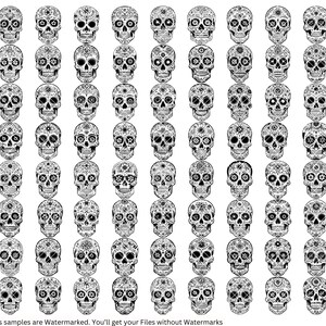 May include: A set of 72 black and white sugar skull illustrations. Each skull is decorated with intricate floral patterns. The skulls are arranged in rows and columns on a white background.