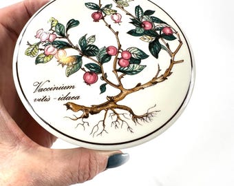 Caja para joyas Villeroy & Boch Botanica, caja de porcelana con tapa, color arándano rojo, 10,5 cm