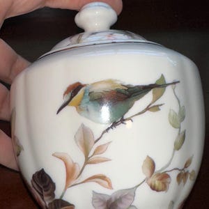 May include: A white ceramic sugar bowl with a lid, featuring a painted bird perched on a branch with leaves. The bird has brown, blue, and green feathers. The bowl has a rounded shape and a small knob on the lid.