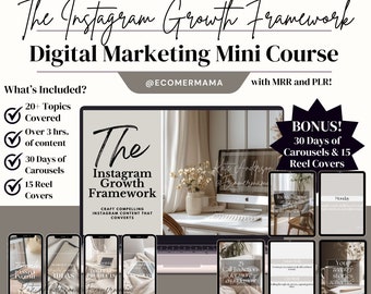 Kurs mini Instagram Growth Blueprint z Master Resell Rights (MRR) i Private Label Rights (PLR): wskazówki/sztuczki dla Instagrama i mediów społecznościowych