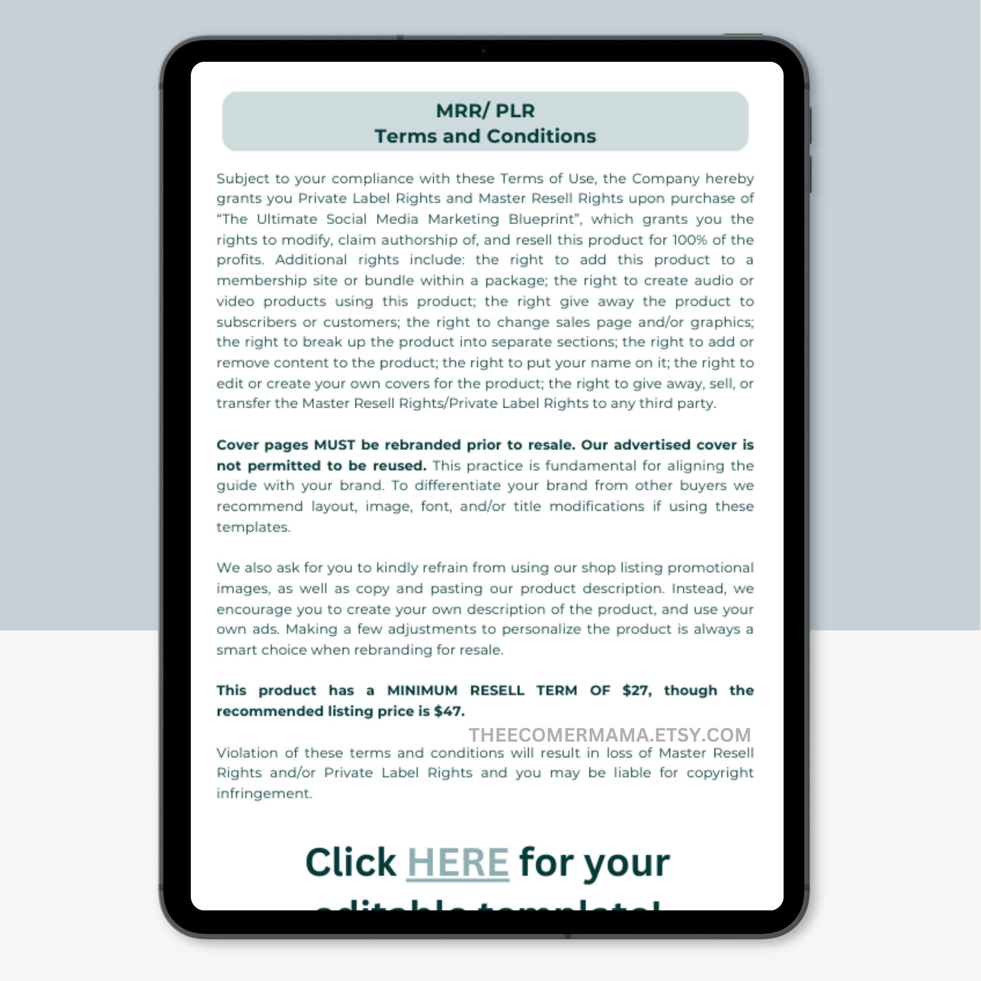 The Ultimate Social Media Marketing Blueprint With Master Resell Rights ...