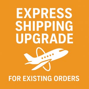 Puede incluir: Fondo naranja con texto blanco que dice "EXPRESS SHIPPING UPGRADE" y "FOR EXISTING ORDERS". Un gráfico de avión blanco en el centro.