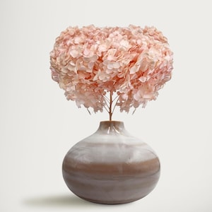 Bundle of 2 Dried Preserved Hydrangea Flower 16" with Stem Home Decor Bouquets for Crafting and Floral Arrangements
