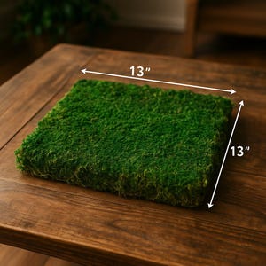 Lush Green Flat Moss Set: 13x13 Inches (2 Sheets) Per Box