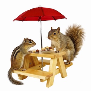 May include: A small wooden picnic table with a red umbrella, featuring a chipmunk on one side and a squirrel on the other. A small bowl filled with various nuts and seeds sits in the center of the table between the two animals on a white background.