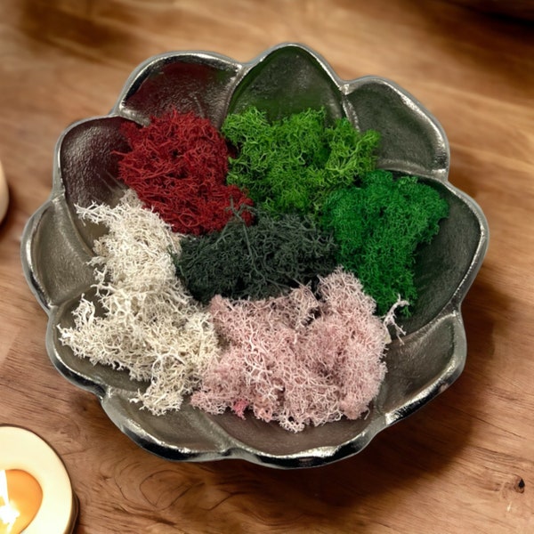 Premium Preserved Reindeer Moss for DIY Crafts, Terrariums, and Home Decor - Natural, Eco-Friendly Greenery