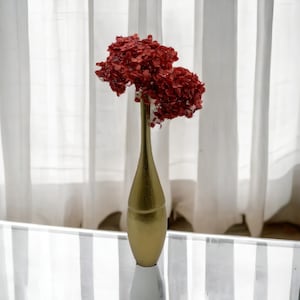 Real Preserved Natural Anna Hydrangea Stems and Petals in 20 Gram Box - Crafting - DIY