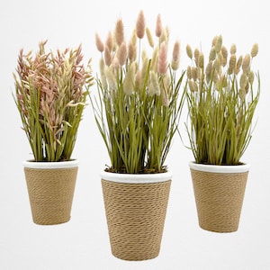 May include: Three potted plants with different types of grasses. The plants are in brown woven pots with white rims. The grasses are green with brown and pink accents.