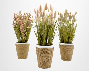 Rustic Preserved Grass Plant Set: Oat, Canary, Pampas in Ceramic Pots