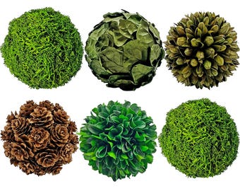 Preserved Botanical Topiary Balls - Set of 6 - Rustic Home Decor