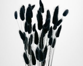 Dried Bunny Tails Grass Bouquet: DIY Home Decor, Set of 4