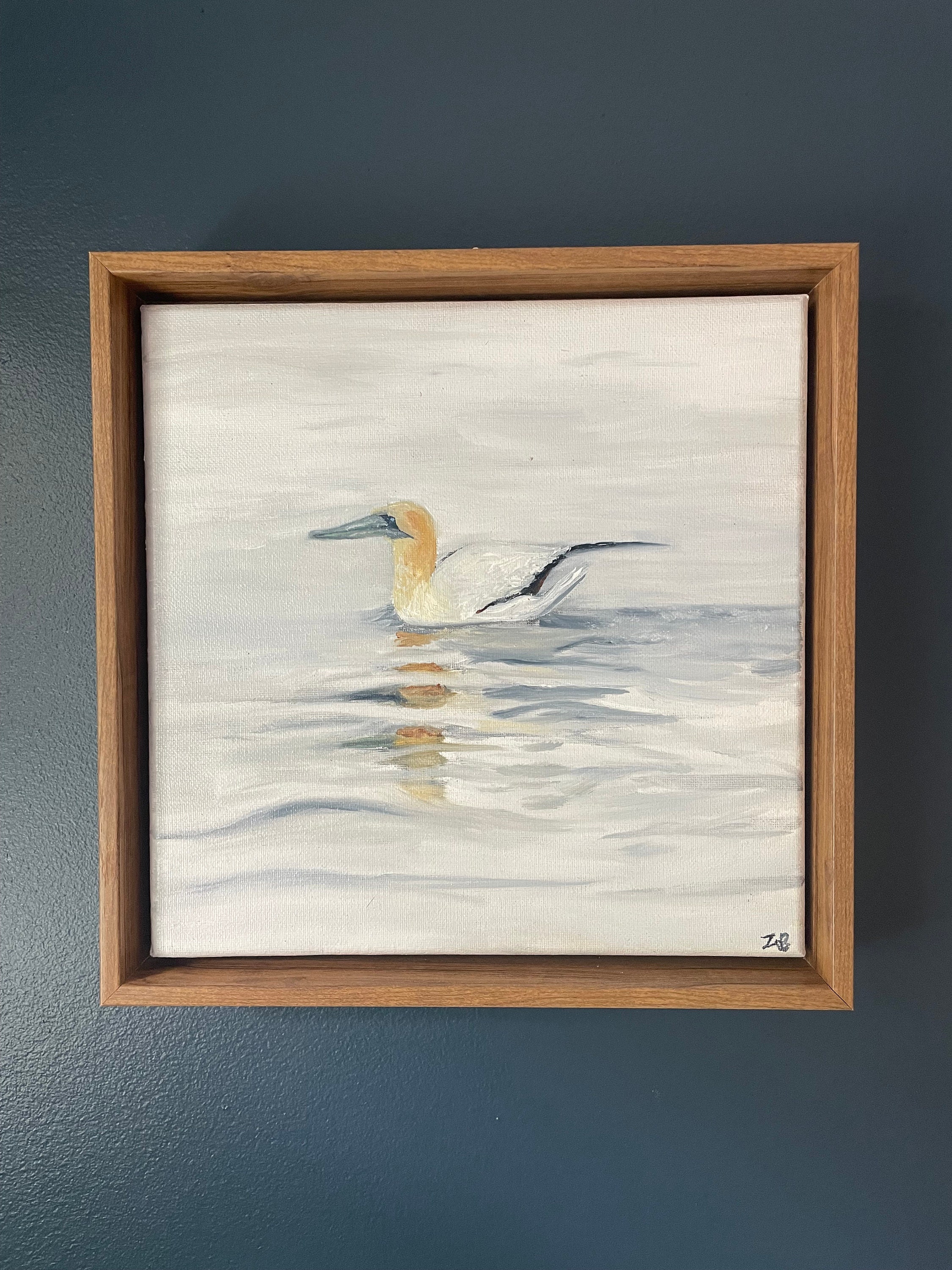Gannet - Print - Etsy